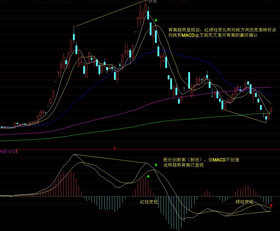 市政务服务中心：破解急难愁盼问题惠民生