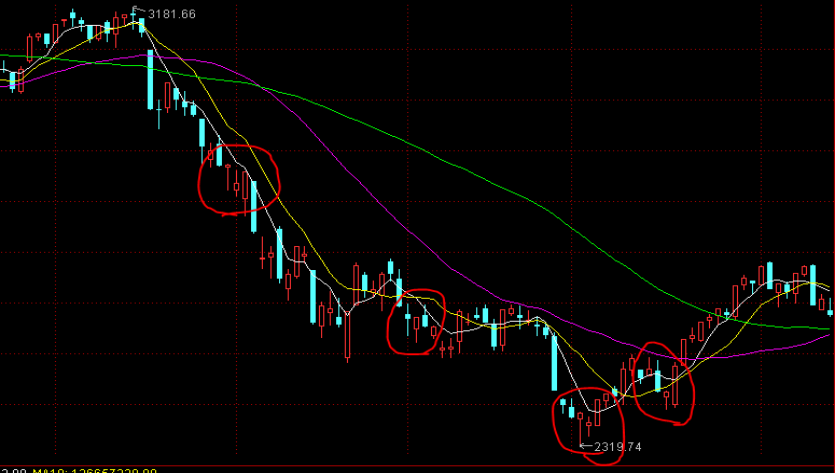 市政务服务中心：破解急难愁盼问题惠民生